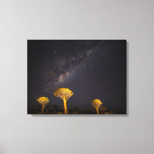 Melkweg Quiver Boom   Keetmanshoop Namibië Canvas Afdruk