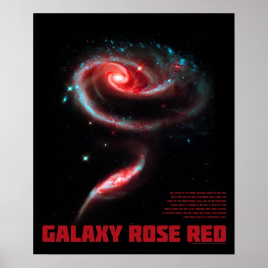 Melkweg Roos Rood Poster (Voorkant)