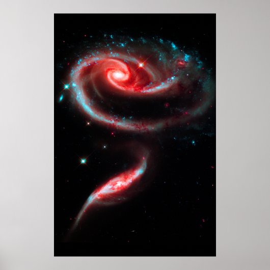Melkweg Rose Rood Poster (Voorkant)