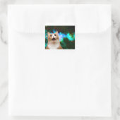 MELKWEGKAT VIERKANTE STICKER (Tas)