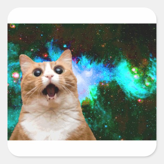 MELKWEGKAT VIERKANTE STICKER (Voorkant)