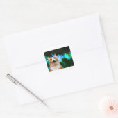 MELKWEGKAT VIERKANTE STICKER (Envelop)