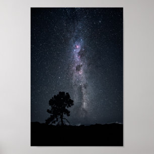 melkwegsterren en een boom poster
