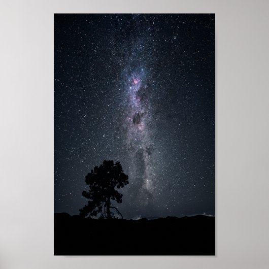 melkwegsterren en een boom poster (Voorkant)