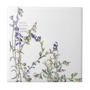  Melkwort Wildflower Flowers Tile Tegeltje