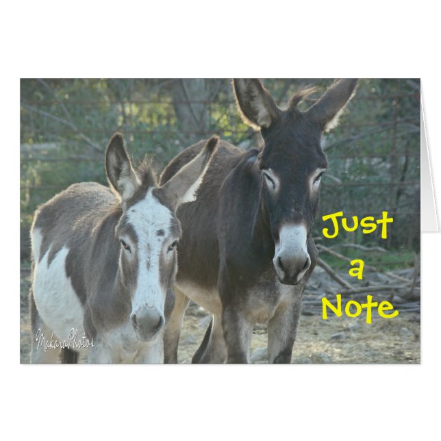 Mellenblanco kaart (Voorkant Horizontaal)