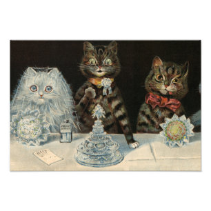 Mellin's Food Biscuits van Louis Wain Foto Afdruk