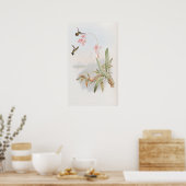 Mellisuga Minima Hummingbirds by John Gould Poster (Keuken)