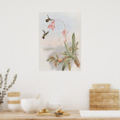 Mellisuga Minima Kolibries door John Gould Poster (Keuken)