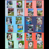 Mello de Samoyed 2026 Kalender