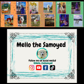 Mello de Samoyed 2026 Kalender