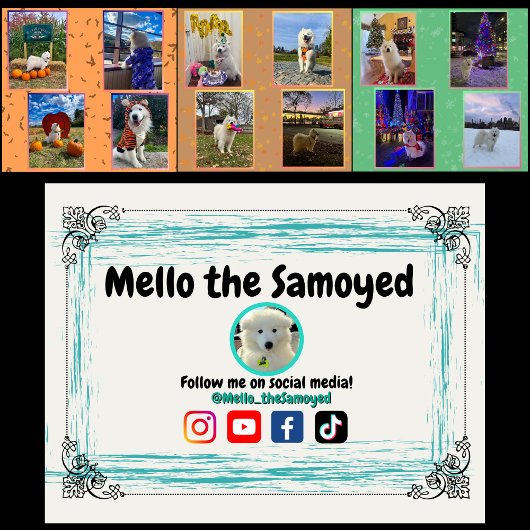 Mello the Samoyed 2026 Calendar Kalender