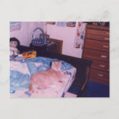 Mellow Cat op een bed Briefkaart (Voorkant)