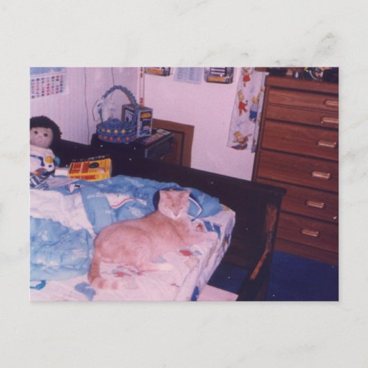 Mellow Cat op een bed Briefkaart (Voorkant)