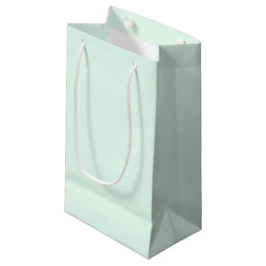 Mellow Mint Gift Bag Klein Cadeauzakje (Voorkant Gekanteld)