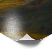 Mellow Mushroom Photo Enlargement Foto Afdruk (Hoek)