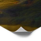 Mellow Mushroom Poster (Hoek)