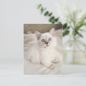 Melodie Briefkaart (Staand voorkant)