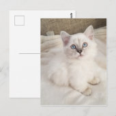 Melodie Briefkaart (Voorkant / Achterkant)