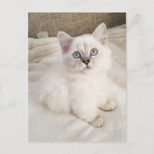 Melodie Briefkaart (Voorkant)