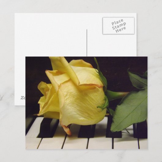 Melodie van een Roos Briefkaart (Voorkant / Achterkant)