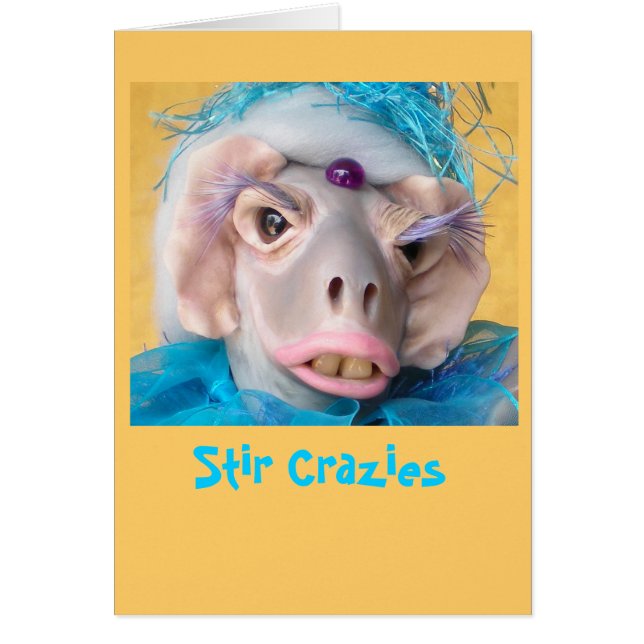 Melodious Melvina Card (Voorkant)