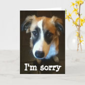 Melody, het spijt me kaart (Gele Bloem)