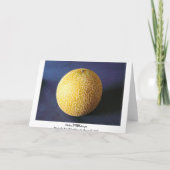 Meloen/Kantaloep Kaart (Achterkant)