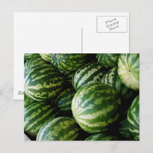 Meloenen Briefkaart (Voorkant / Achterkant)