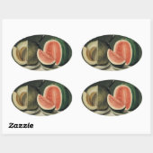 "Meloenen" stickers (Vel)