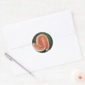 "Meloenen" stickers (Envelop)