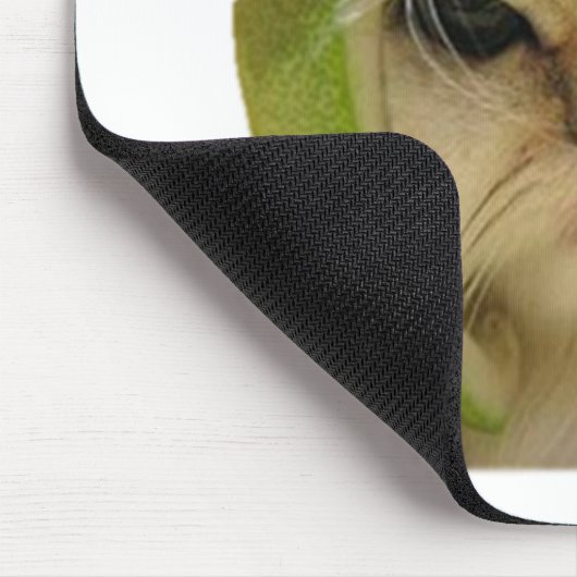 meloenkat muismat (Hoek)