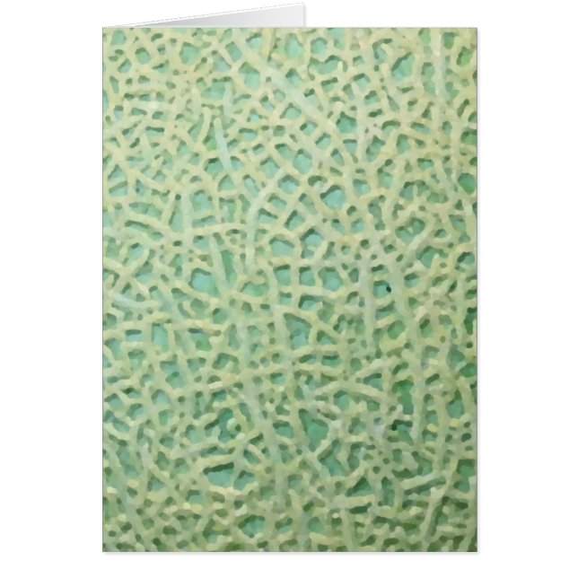 meloenpatroon (Voorkant)