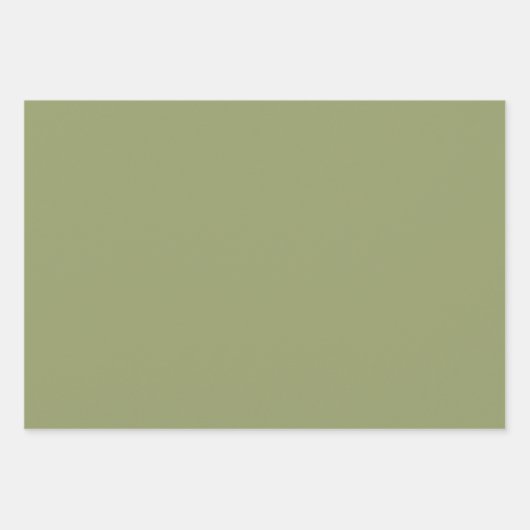 Melon & Basil Wrapping Paper Flat Sheet Set of 3 (Voorkant 3)