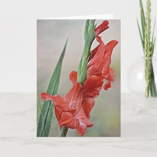 Melon Red Toned Gladiolus bloemen Noteer Kaart (Voorkant)