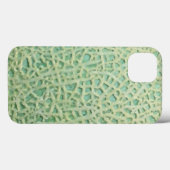melonpatroon iPod touch 5G cover (Achterkant (horizontaal))