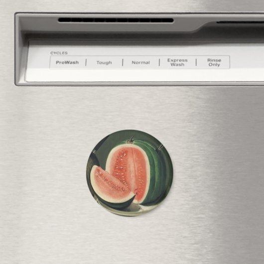 "Melons" art magnet (Insitu (Vaatwasser))