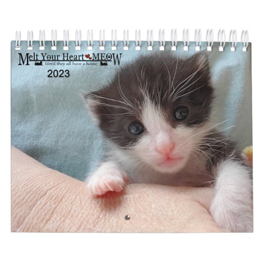 Melt Your Heart - MEOW 2023 Kitten Calendar Kalender (Hoes)