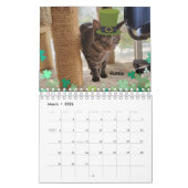 Melt Your Heart - MEOW 2023 Kitten Calendar Kalender (Mar 2026)