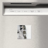 Meltwatervijvers langs de Groenlandse westkust Magneet (Insitu (Vaatwasser))