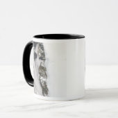 Meltwatervijvers langs de Groenlandse westkust Mok (Voorkant links)