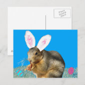 Melvin Cottontail Briefkaart (Voorkant / Achterkant)