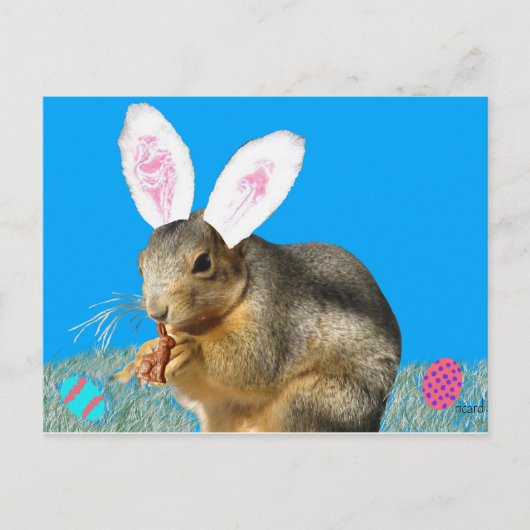 Melvin Cottontail Briefkaart (Voorkant)