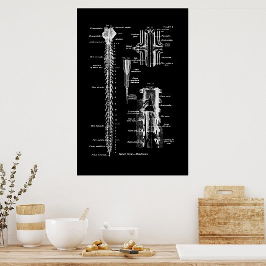 Membraan van de anatomie van het ruggenmerg poster (Keuken)