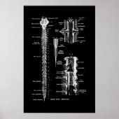 Membraan van de anatomie van het ruggenmerg poster (Voorkant)