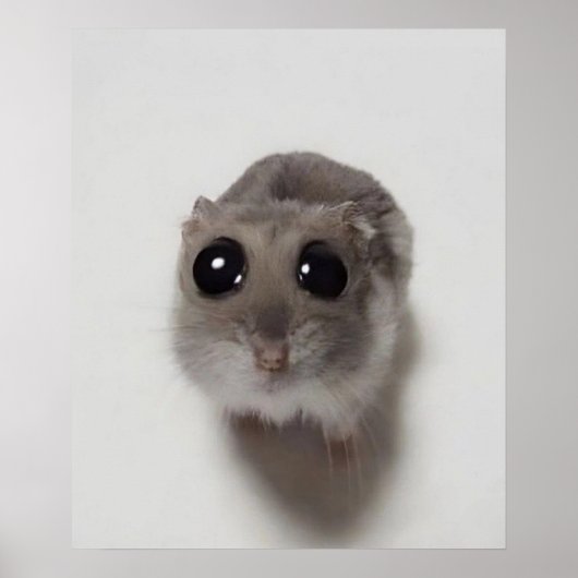 meme, hamster, hamster meme, droevige hamster, gra poster (Voorkant)