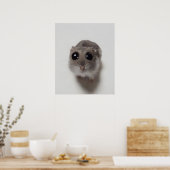 meme, hamster, hamster meme, trieste hamster, grap poster (Keuken)
