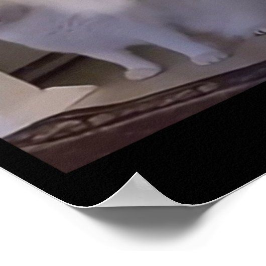 Meme Huh Cat Poster (Hoek)