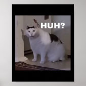 Meme Huh Cat Poster (Voorkant)