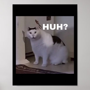 Meme Huh Cat Poster